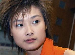 娱乐吃瓜假小子,娱乐圈吃瓜风云录